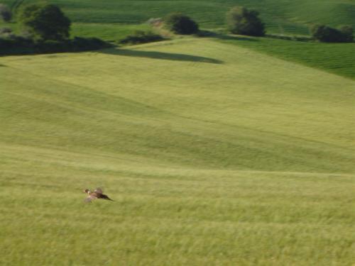 Agriturismo Colombaiolo Pienza Luaran gambar