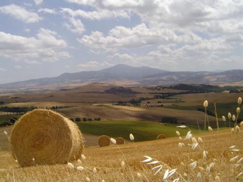 Agriturismo Colombaiolo Pienza Luaran gambar